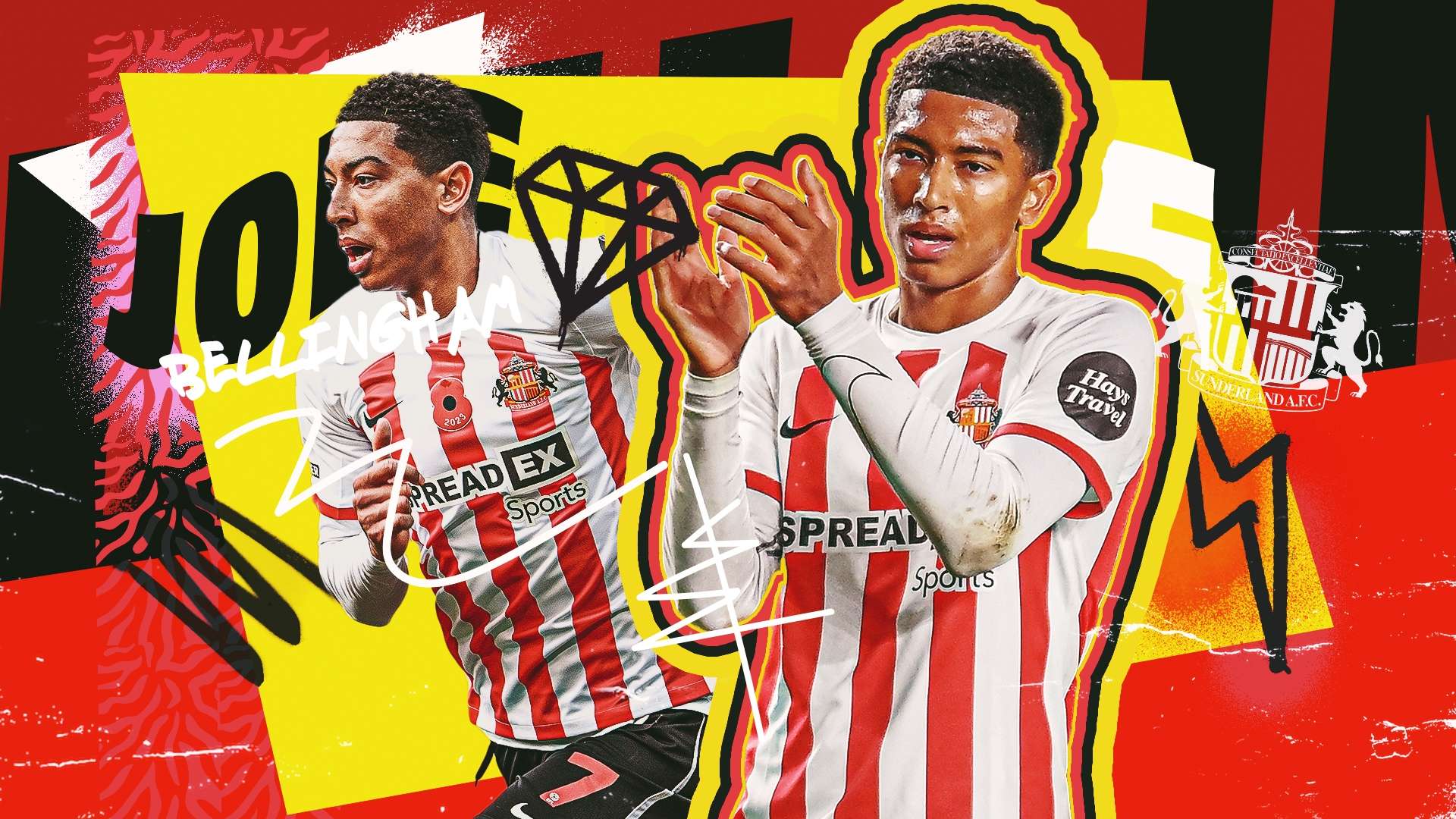 牛队的影响 牛队的影响