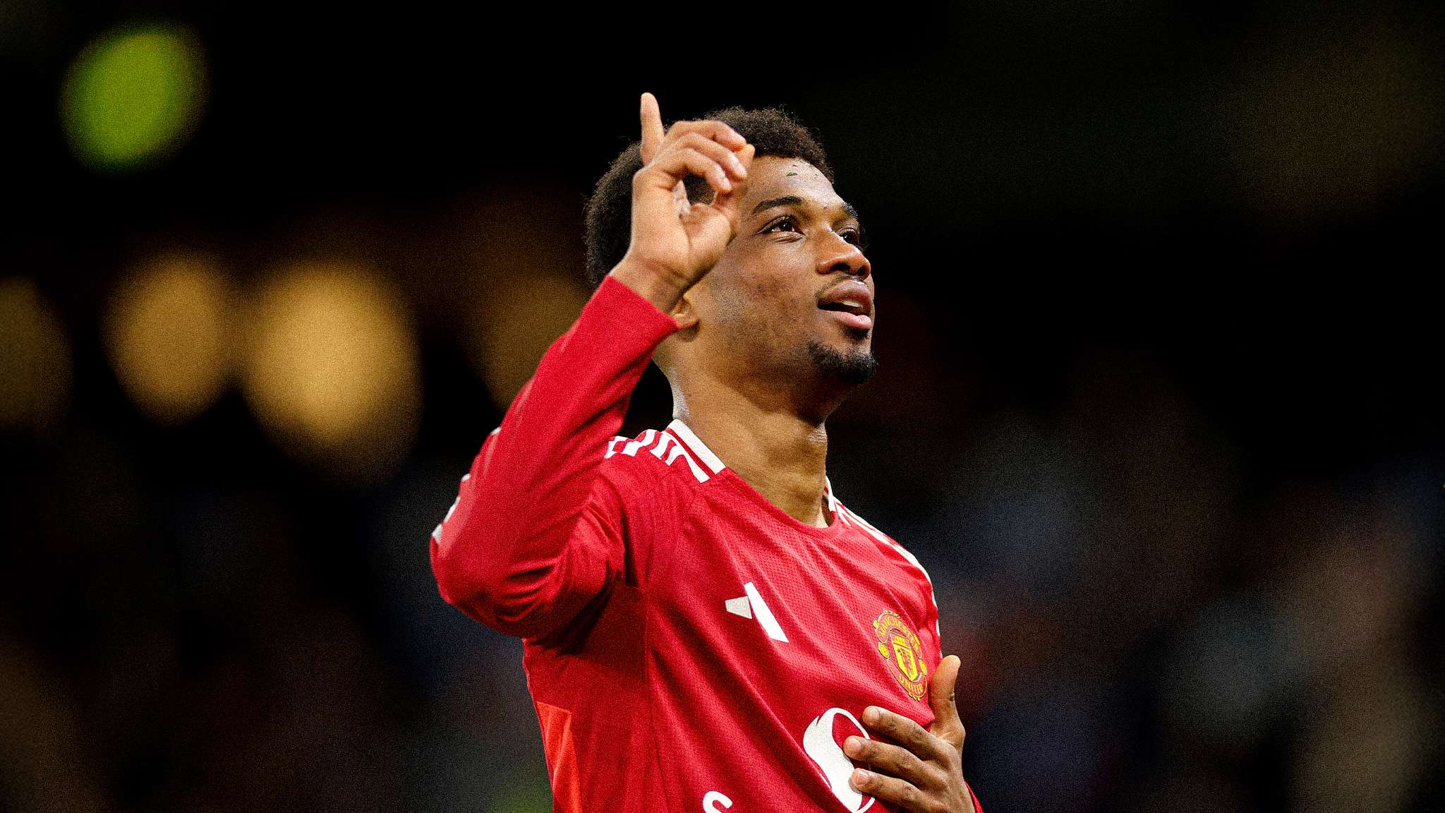 仅能展示自 仅能展示自